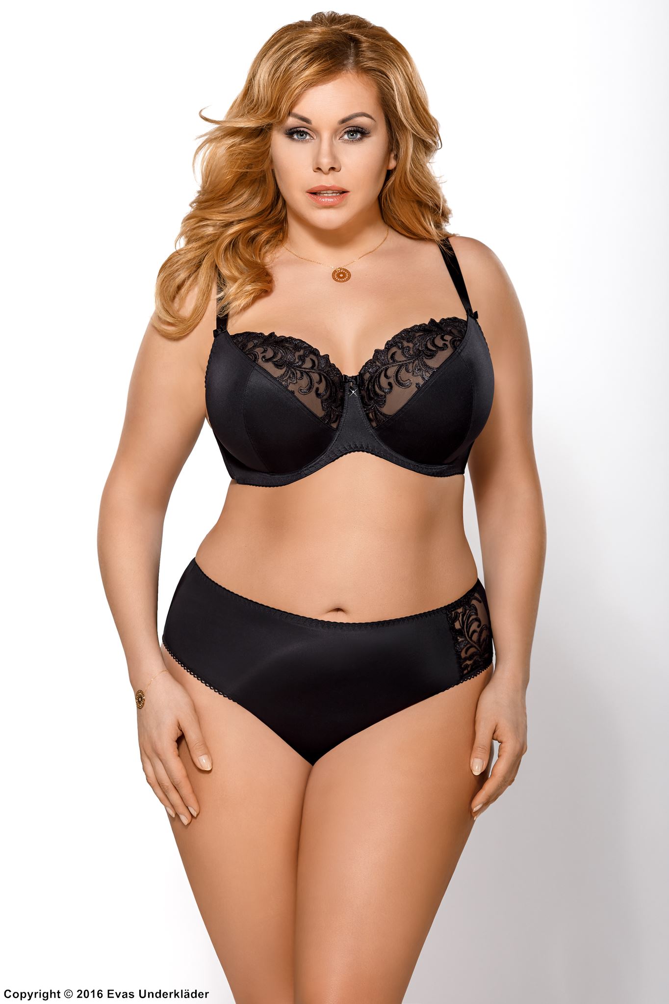 Classic briefs, sheer mesh, embroidery, plus size